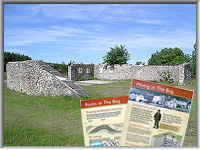 Bog Miner's Institute in 2008