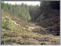 Roman Gravels open cut