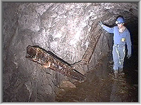 Level leading towards New Shaft with remains of wooden launder